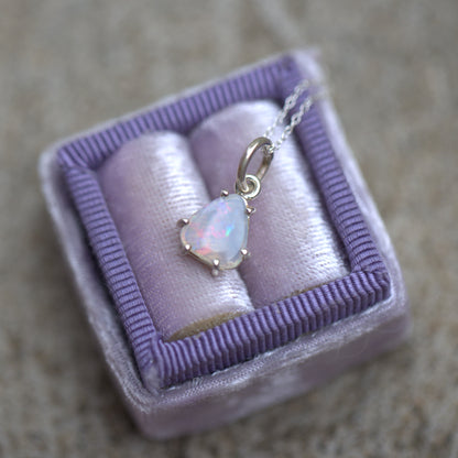 Teeny Tiny Rainbow